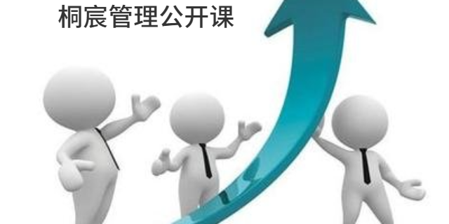山东桐宸管理咨询 企业高效发展的专业伙伴
