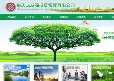 深耕细作 重庆龙发源投资管理网站顺利上线记